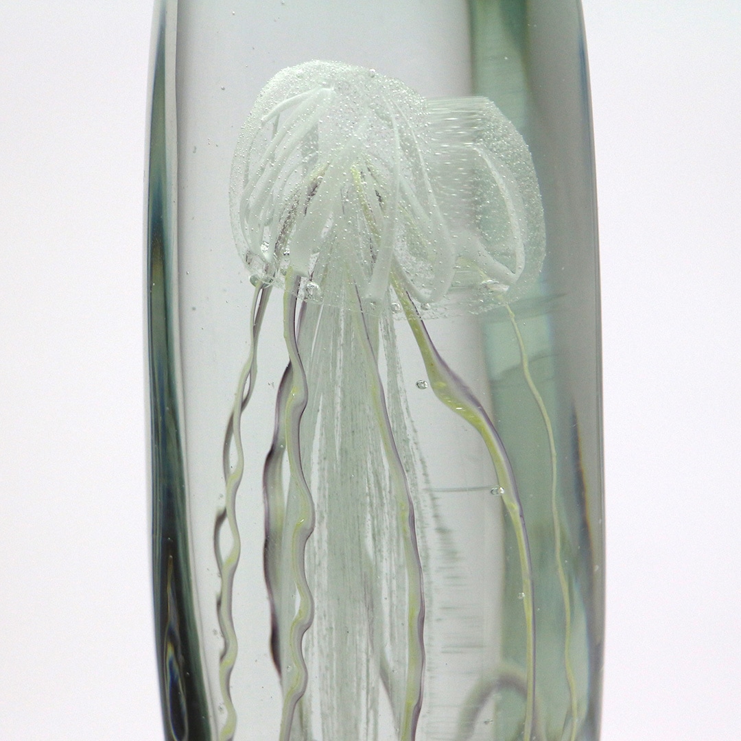 ジェリーフィッシュ ツイストレッグ 