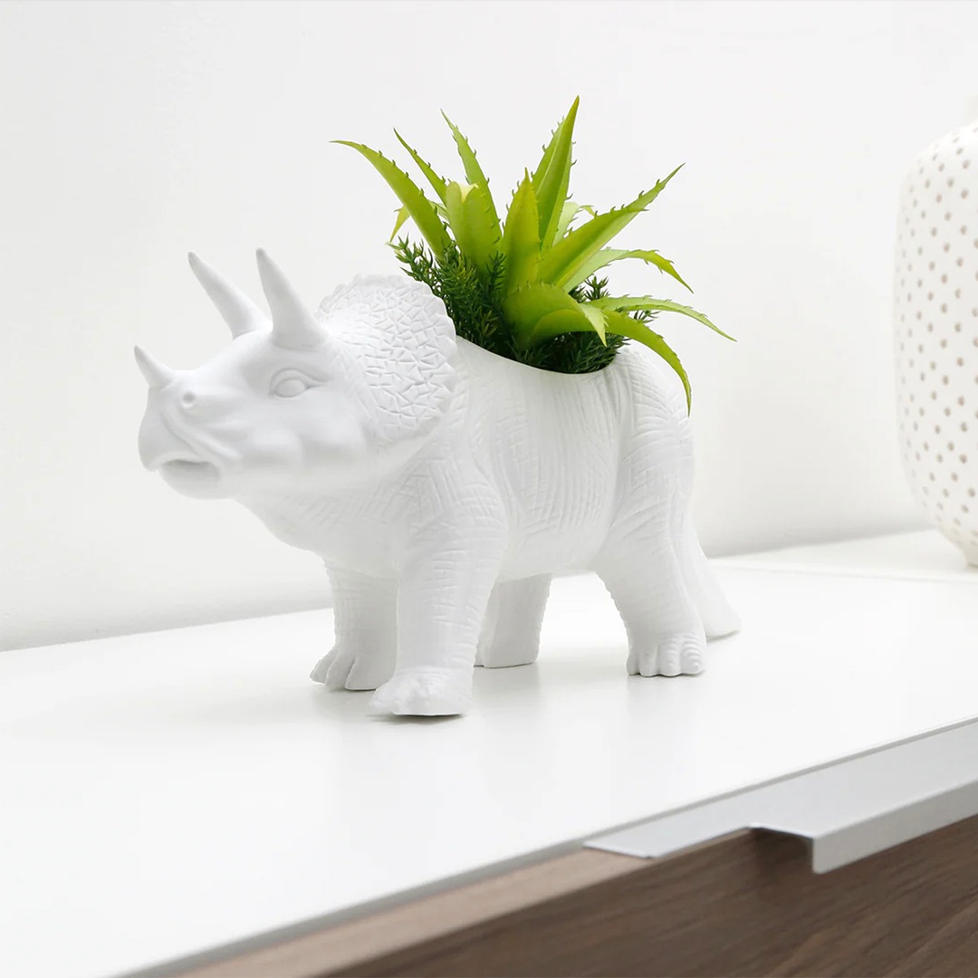 KIKKERLAND ポーセリン トリケラポット | 恐竜の植木鉢 | BRANDS