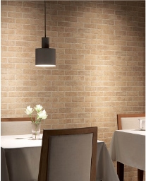 �ڹ񻺥᡼������DIY�ɻ桡WVP2213