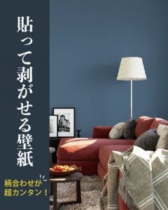 ŽäɻۥΥʤŽäƤϤDIYɻ ץñͥӡ