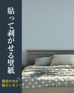 ŽäɻۥΥʤŽäƤϤDIYɻ ñ쥤֥롼