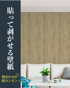 ��Ž�ä����������ɻ�ۥΥ�ʤ���Ž�äƤϤ�����DIY�ɻ� ����(�饤��)��