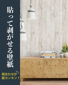 ��Ž�ä����������ɻ�ۥΥ�ʤ���Ž�äƤϤ�����DIY�ɻ� ����(�ۥ磻��)��