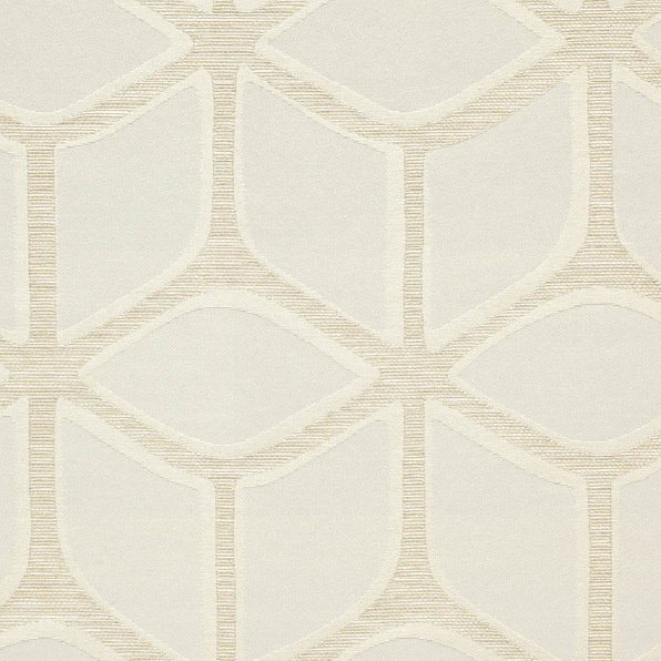 �ڥ�������ꡡTKF10081W200cm �� H178 ξ����