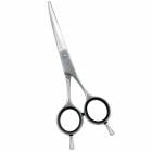 ̵ۡڥץ͡ۥȥߥ󥰥  ɥ꡼໺ 5