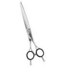 ̵ۡڥץ͡ۥȥߥ󥰥  ɥ꡼໺ 6.8