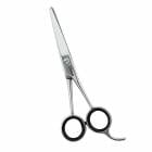 ̵ۡڥץ͡ۥȥߥ󥰥 ߥ ܥ ɥ꡼໺ ƥ쥹50F  ǽ ڥå ϥ ǭ