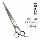 ̵ۡڥץ͡ۥȥߥ󥰥 ȥ졼  Ʋ ð ž夲 Ӵ ڥå ϥ