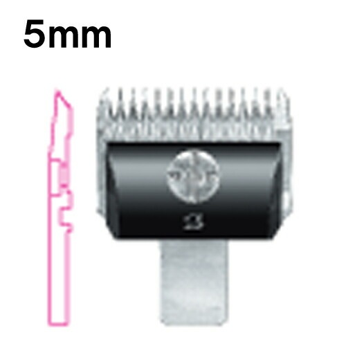 ������̵���ۥХꥫ�� �ؿ� ���ԡ��ǥ��� 5mm ���� SP-3 DSC-8 ����ѥ���