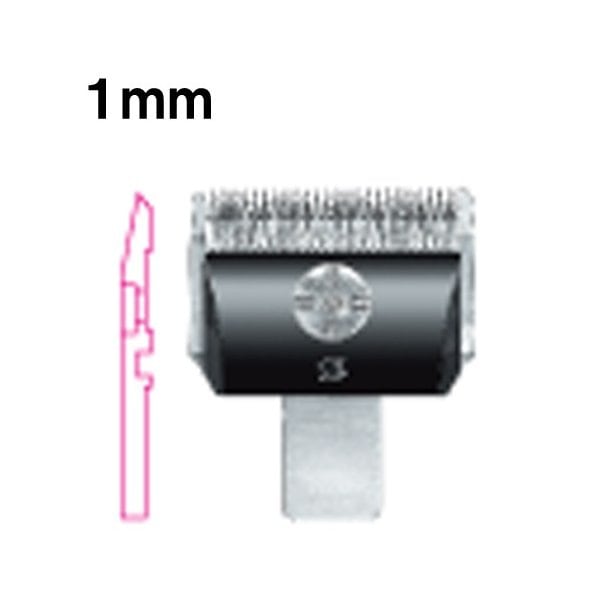 ������̵���ۥХꥫ�� �ؿ� ���ԡ��ǥ��� 1mm ���� SP-3 DSC-8 ����ѥ���