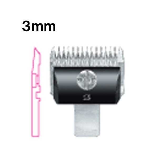 ������̵���ۥХꥫ�� �ؿ� ���ԡ��ǥ��� 3mm ���� SP-3 DSC-8 ����ѥ���