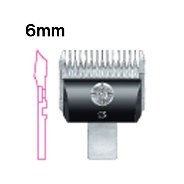 ������̵���ۥХꥫ�� �ؿ� ���ԡ��ǥ��� 6mm ���� SP-3 DSC-8 ����ѥ���