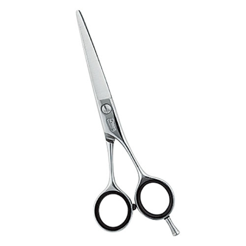 ������̵���ۡڥץ����͡ۥȥ�ߥ󥰥����� �ߥ� �ܥ� �ɥ꡼�໺�� D-55 ��ǽ �ѥ ���å� �ڥå��� �ϥ���