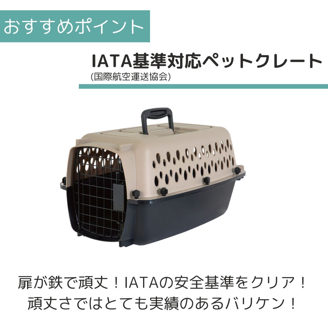 ��3��ܰʹ�����ͽ�������̵�� �ڥåȥᥤ�� �Хꥱ��ͥ� XS �ڥå��� ����  �Хꥱ�� Petmate