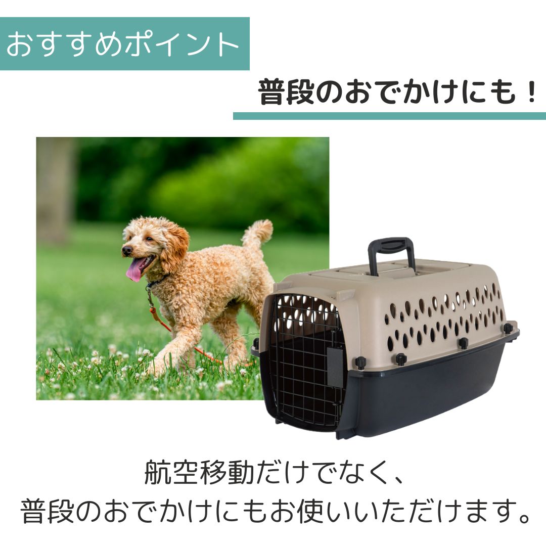 ��3��ܰʹ�����ͽ�������̵�� �ڥåȥᥤ�� �Хꥱ��ͥ� XS �ڥå��� ����  �Хꥱ�� Petmate