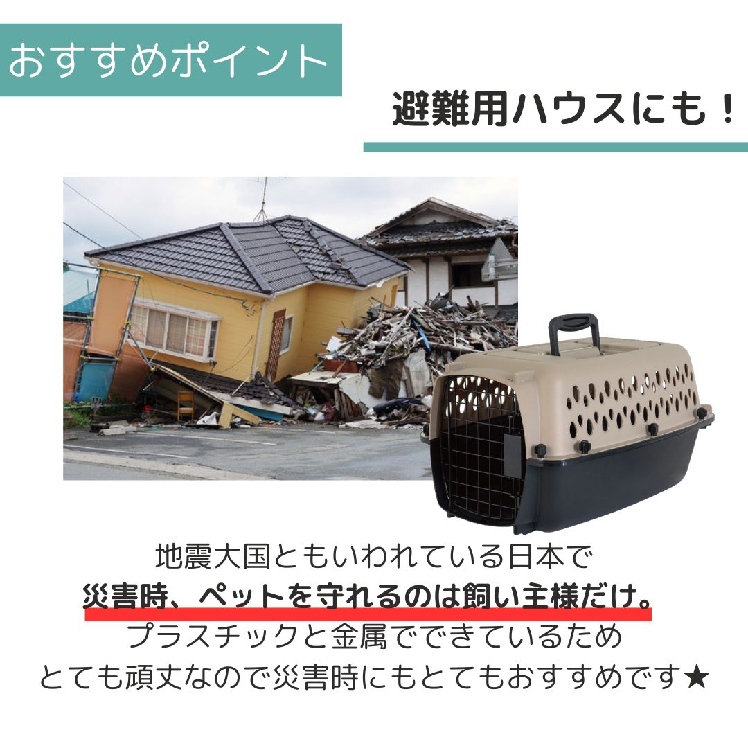 ��3��ܰʹ�����ͽ�������̵�� �ڥåȥᥤ�� �Хꥱ��ͥ� XS �ڥå��� ����  �Хꥱ�� Petmate