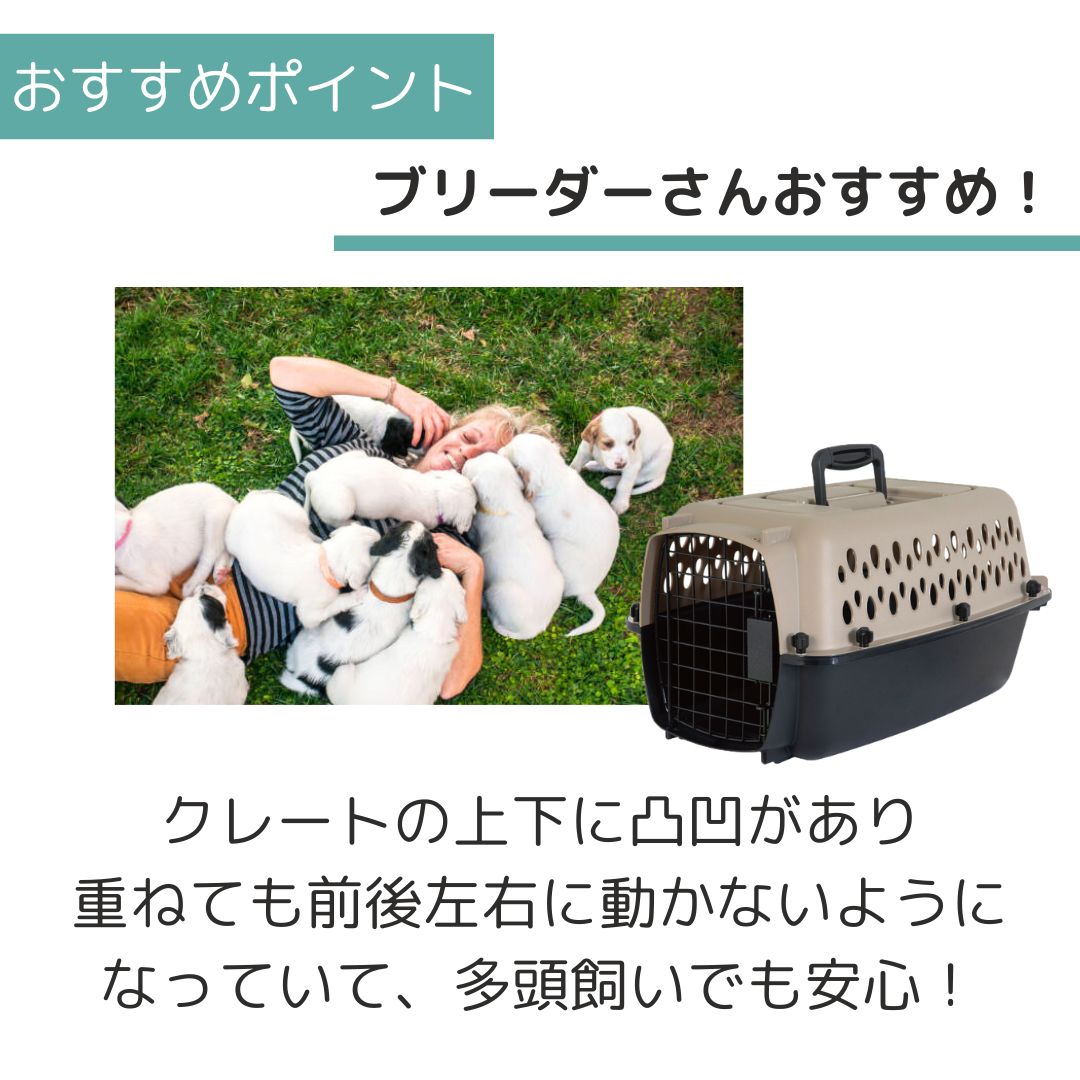 ��3��ܰʹ�����ͽ�������̵�� �ڥåȥᥤ�� �Хꥱ��ͥ� XS �ڥå��� ����  �Хꥱ�� Petmate