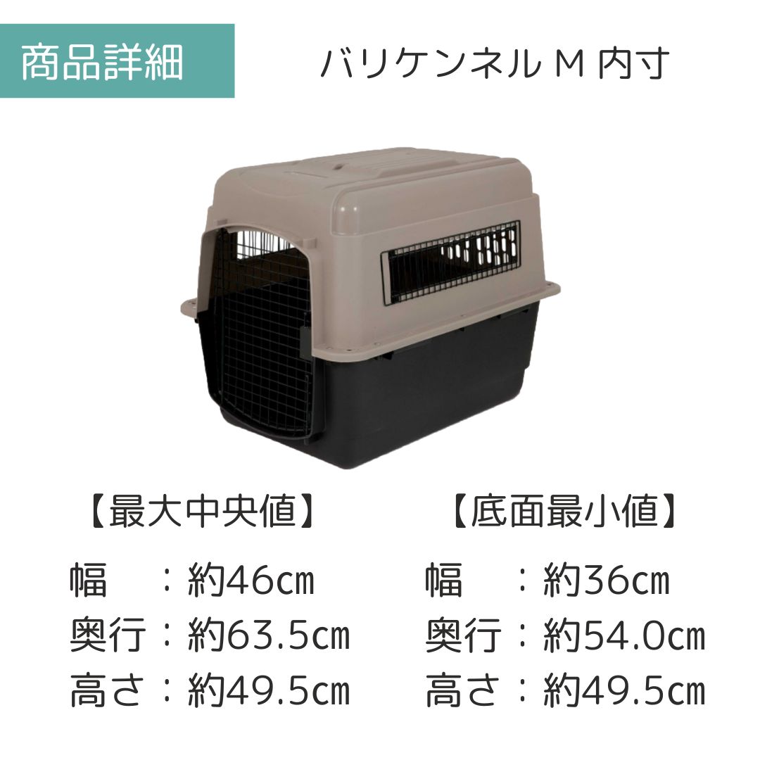 ��3��ܰʹ�����ͽ�������̵�� �ڥåȥᥤ�� �Хꥱ��ͥ� M �ڥå��� ����  �Хꥱ�� Petmate