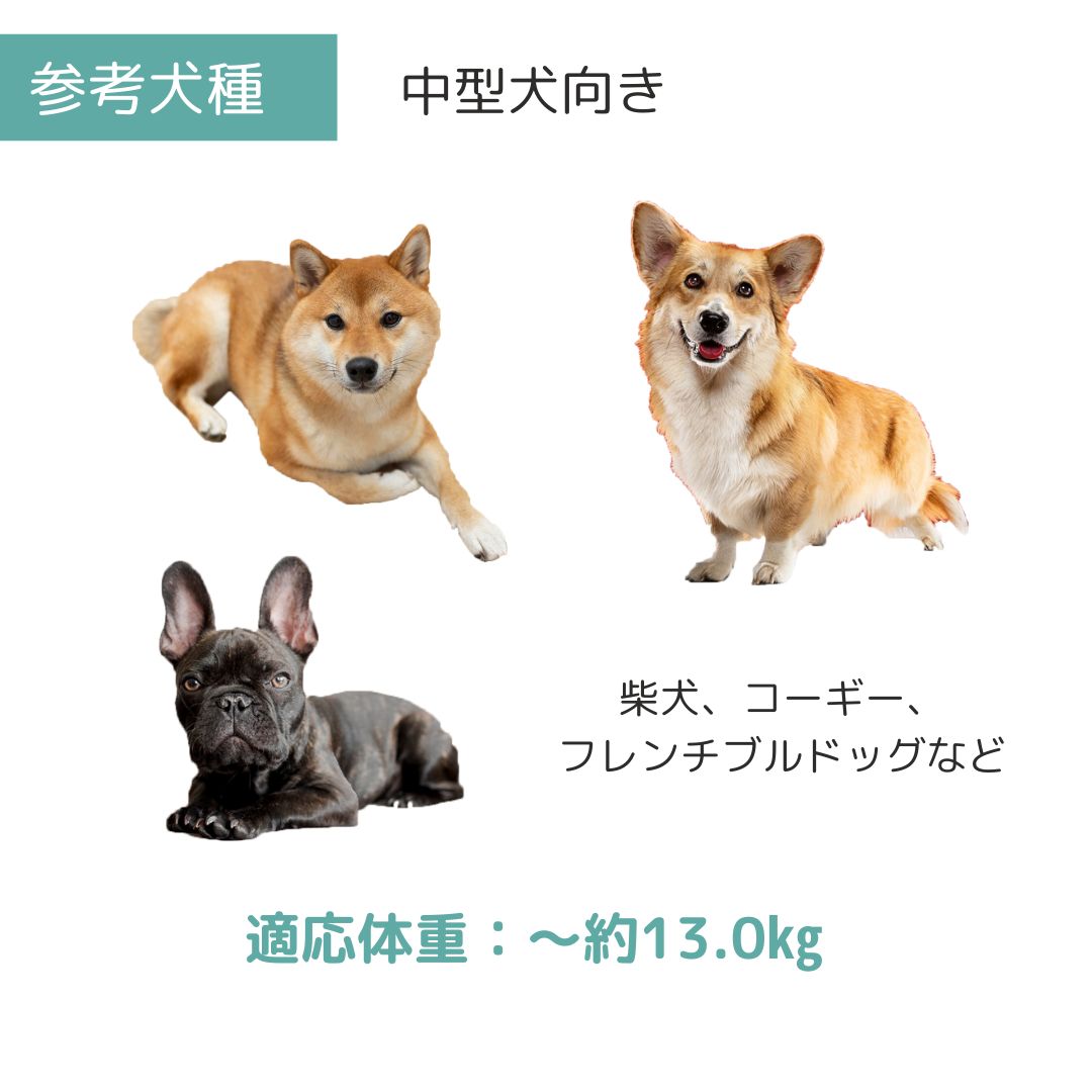 ��3��ܰʹ�����ͽ�������̵�� �ڥåȥᥤ�� �Хꥱ��ͥ� M �ڥå��� ����  �Хꥱ�� Petmate