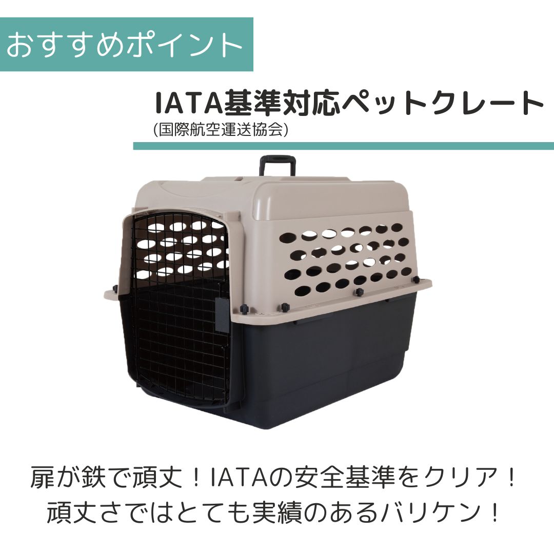 ��3��ܰʹ�����ͽ�������̵�� �ڥåȥᥤ�� �Хꥱ��ͥ� M �ڥå��� ����  �Хꥱ�� Petmate