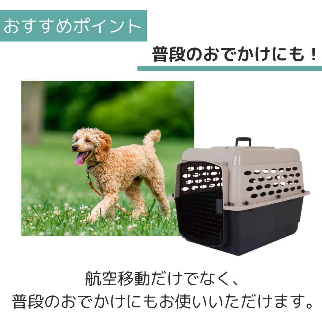 ��3��ܰʹ�����ͽ�������̵�� �ڥåȥᥤ�� �Хꥱ��ͥ� M �ڥå��� ����  �Хꥱ�� Petmate