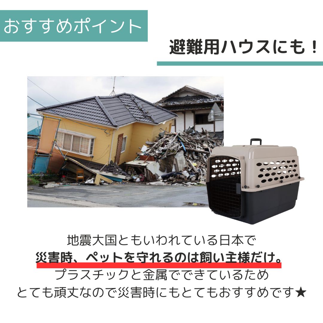 ��3��ܰʹ�����ͽ�������̵�� �ڥåȥᥤ�� �Хꥱ��ͥ� M �ڥå��� ����  �Хꥱ�� Petmate