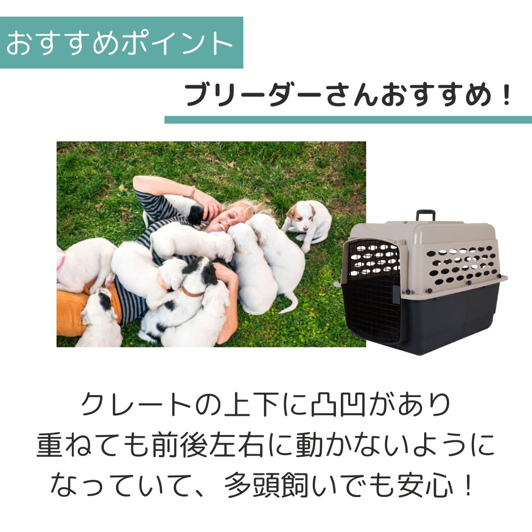 ��3��ܰʹ�����ͽ�������̵�� �ڥåȥᥤ�� �Хꥱ��ͥ� M �ڥå��� ����  �Хꥱ�� Petmate