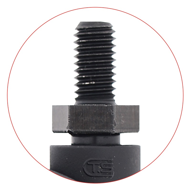 �ɥ꡼�໺�� ������ɥɥ饤�䡼���� ����������� �ͥ��� ���ƥʥ󥹥��㥹����50�� (1��) ���� ����ѥ���