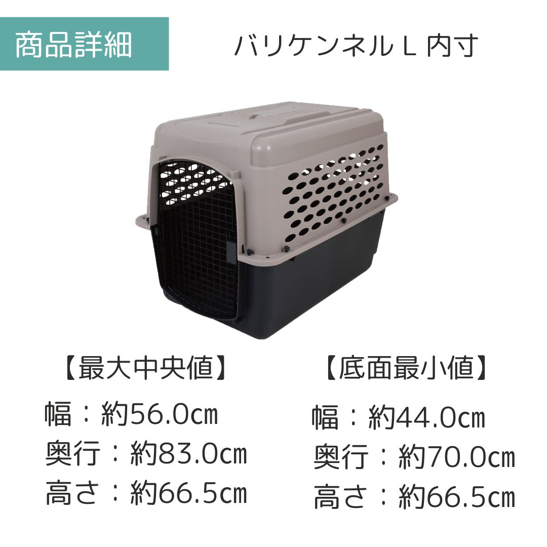 ��3��ܰʹ�����ͽ�������̵�� �ڥåȥᥤ�� �Хꥱ��ͥ� L �ڥå��� ����  �Хꥱ�� Petmate