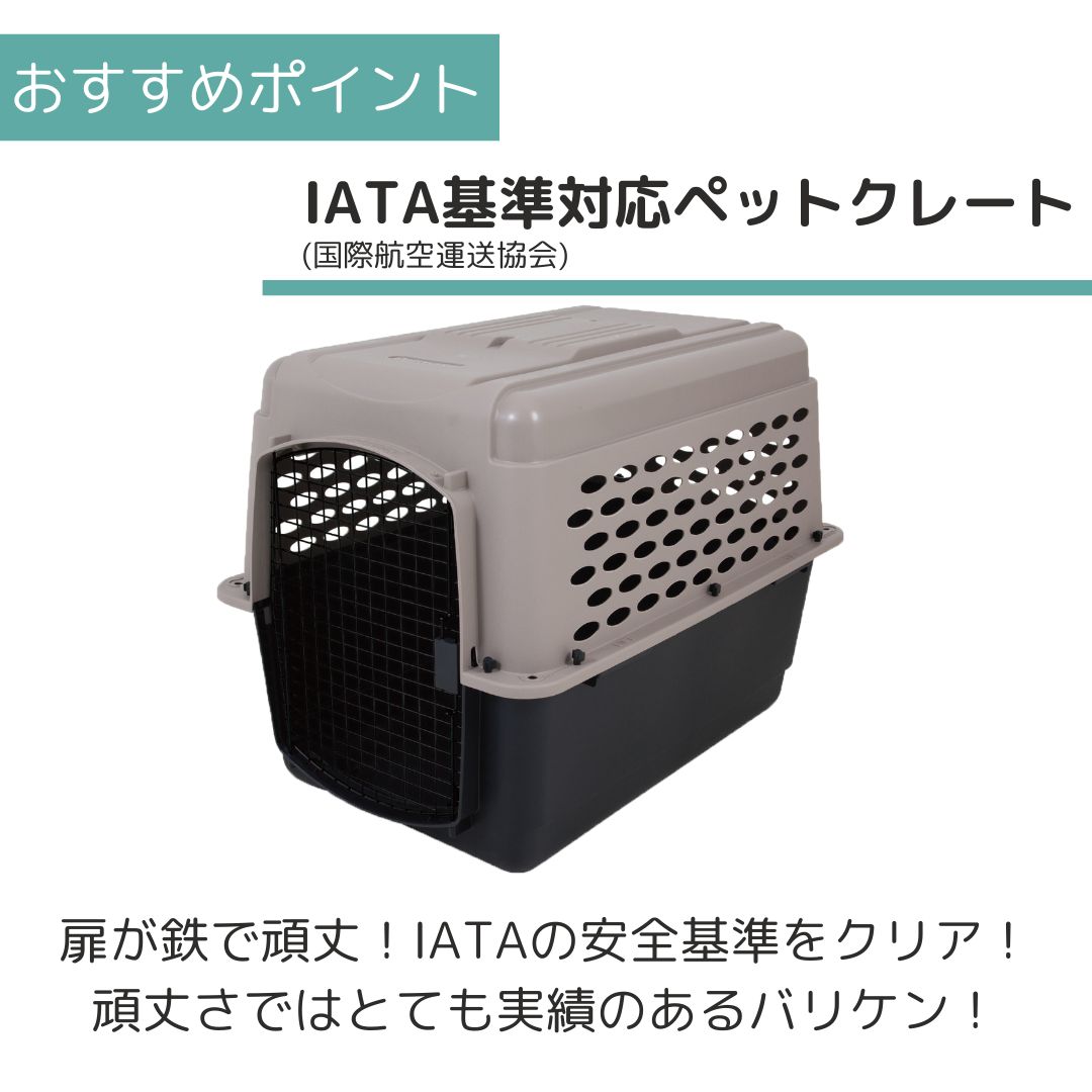 ��3��ܰʹ�����ͽ�������̵�� �ڥåȥᥤ�� �Хꥱ��ͥ� L �ڥå��� ����  �Хꥱ�� Petmate