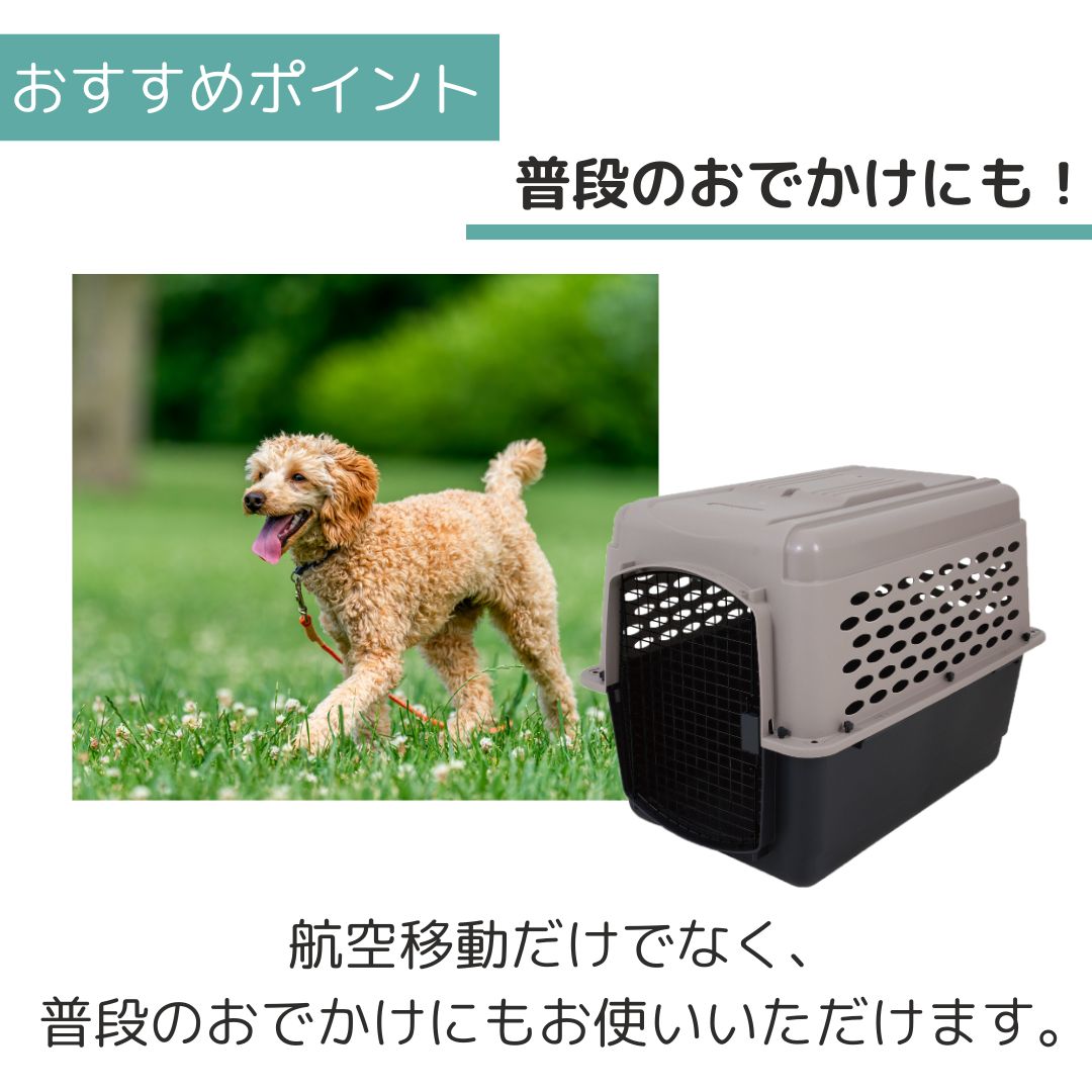 ��3��ܰʹ�����ͽ�������̵�� �ڥåȥᥤ�� �Хꥱ��ͥ� L �ڥå��� ����  �Хꥱ�� Petmate