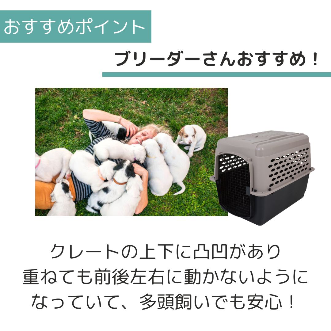 ��3��ܰʹ�����ͽ�������̵�� �ڥåȥᥤ�� �Хꥱ��ͥ� L �ڥå��� ����  �Хꥱ�� Petmate