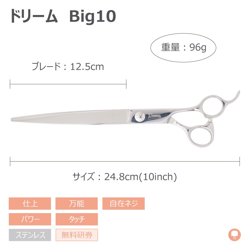 ̵ۡڥץ͡ۥȥߥ󥰥 ȥ졼 ɥ꡼໺ Big10 ž夲 ǽ ѥ å ߥͥ ̵ ڥå ϥ