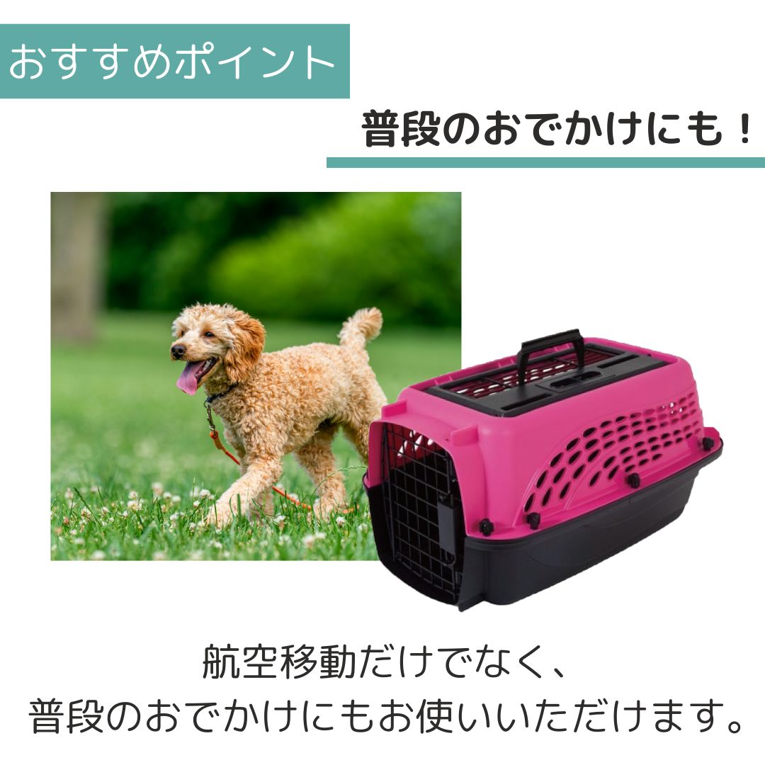 ����̵�� �ڥåȥᥤ�� 2�ɥ��Хꥱ��ͥ� XS �ۥåȥԥ�/�֥�å� �ڥå��� ����  �Хꥱ�� Petmate