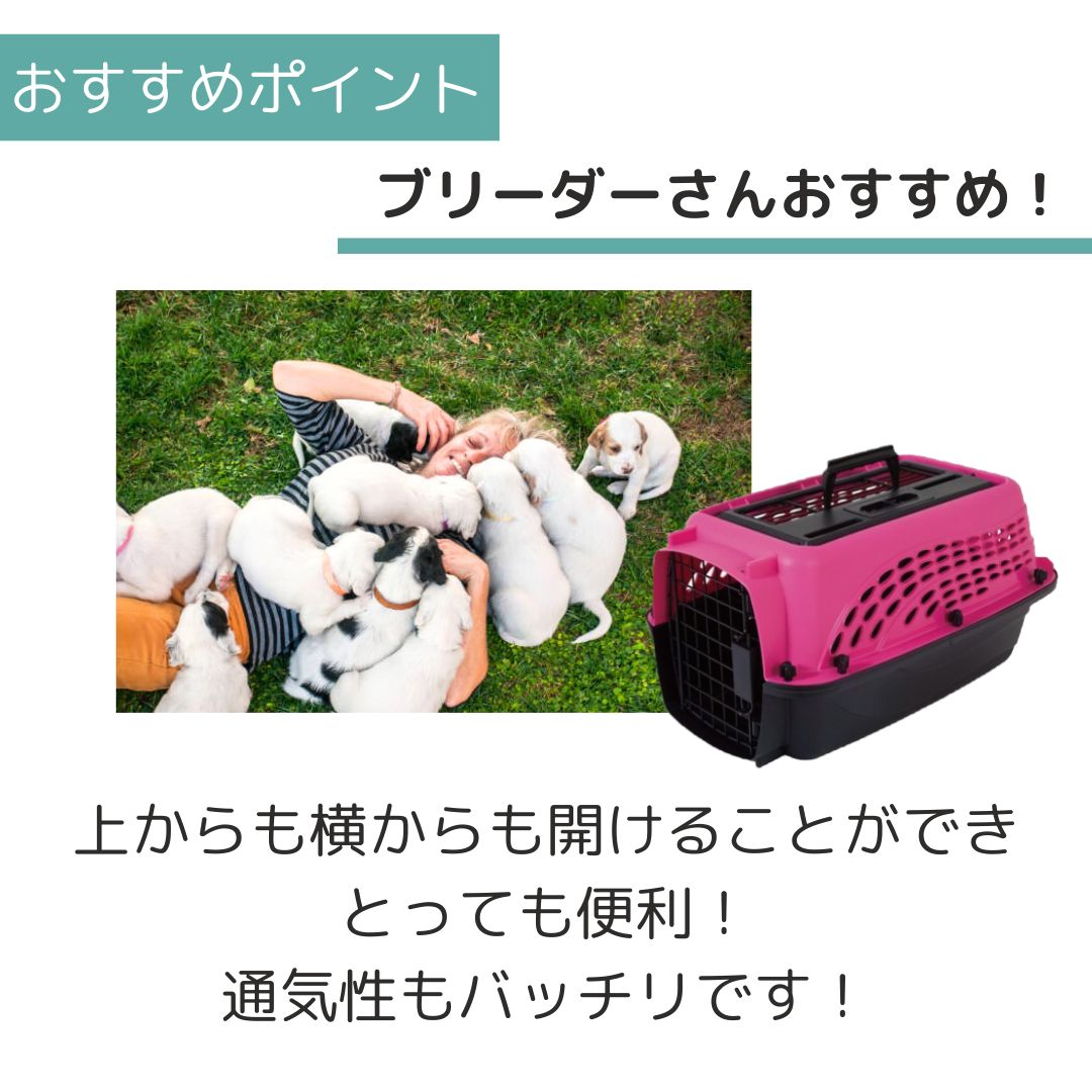 ����̵�� �ڥåȥᥤ�� 2�ɥ��Хꥱ��ͥ� XS �ۥåȥԥ�/�֥�å� �ڥå��� ����  �Хꥱ�� Petmate