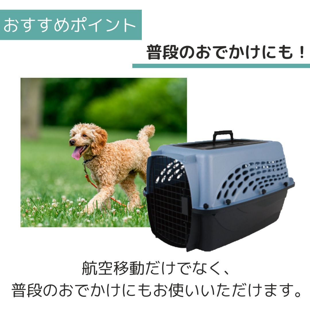 ����̵�� �ڥåȥᥤ�� 2�ɥ��Хꥱ��ͥ� SM ���å���֥롼/�֥�å� �ڥå��� ����  �Хꥱ�� Petmate