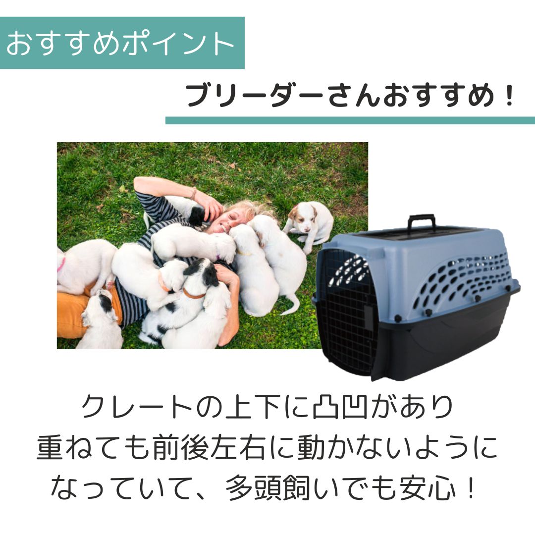 ����̵�� �ڥåȥᥤ�� 2�ɥ��Хꥱ��ͥ� SM ���å���֥롼/�֥�å� �ڥå��� ����  �Хꥱ�� Petmate