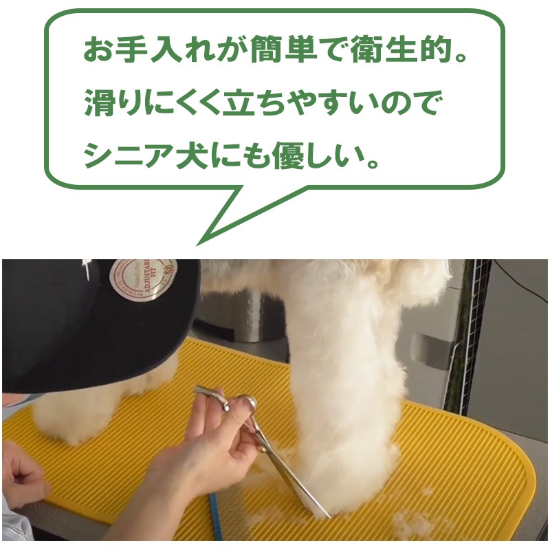 ������̵���ۥ��顼���ꥳ��ޥå� M������ �ɥ꡼�໺�� �ơ��֥��� �ȥ�ߥ����� ���롼�ߥ�