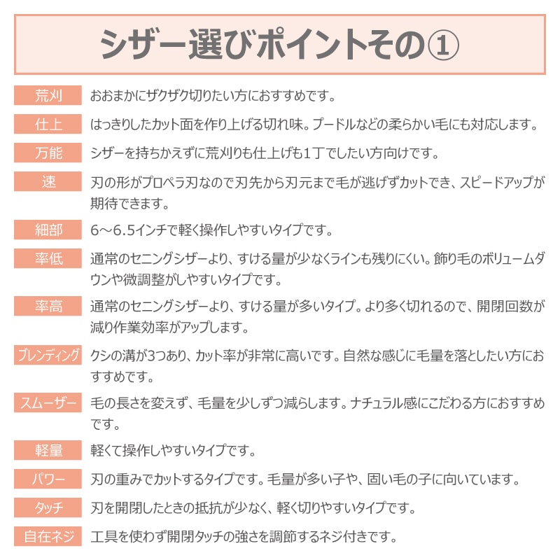 ̵ۡڥץ͡ۥȥߥ󥰥 ȥ졼 ɥ꡼໺ SP-2 ž夲  ǽ å ̵ ڥå ϥ