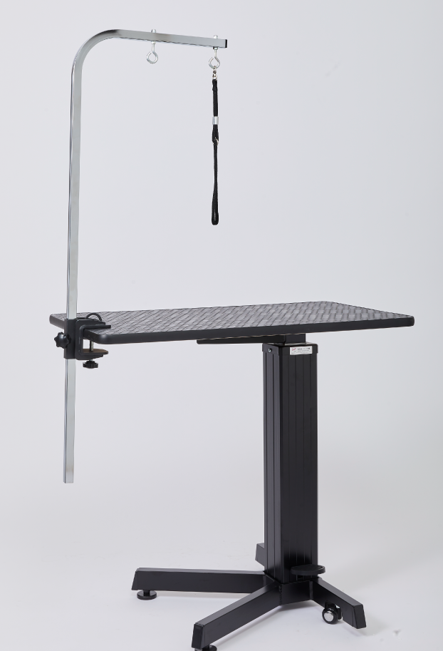 ������̵���ۥȥ�ߥ󥰥ơ��֥��� ���롼�ߥ󥰥�����set2 (120cm) �緿�� �꡼��ɳ��  �ɥ꡼�໺�� �ơ��֥�������