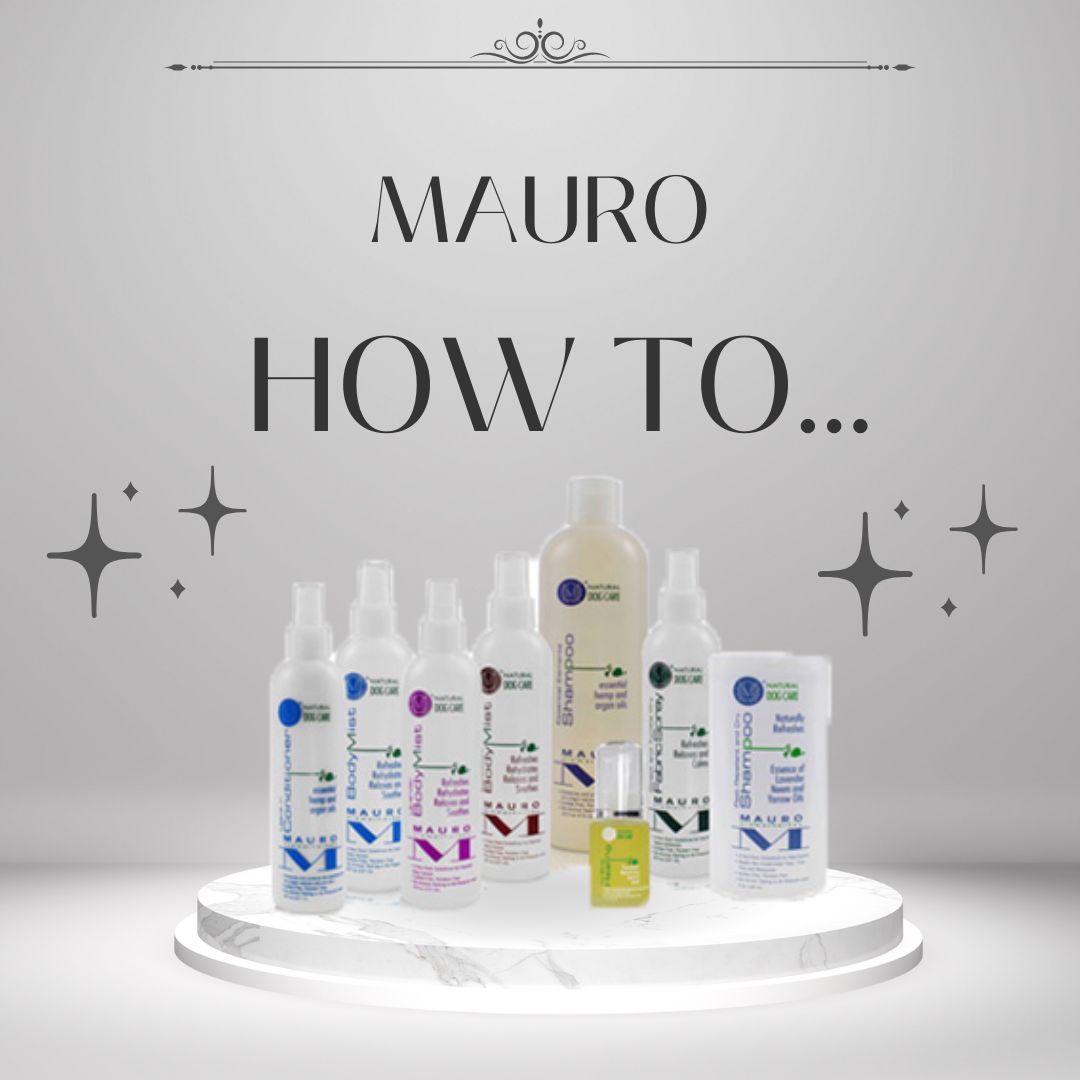 シャンプー marumaru 送料無料】MALULU(MAURO) Essential Elements Shampoo [25濃縮] 3.8L