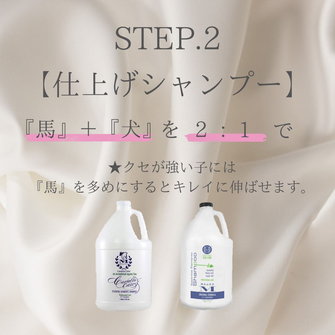 ������̵����MALULU(MAURO) Essential Elements Shampoo [25ǻ��] 3.8L ��̳�� ���� �ڥå��� �����󥱥� �ȥ�ߥ� ����ˤ䤵���� �ޥ���