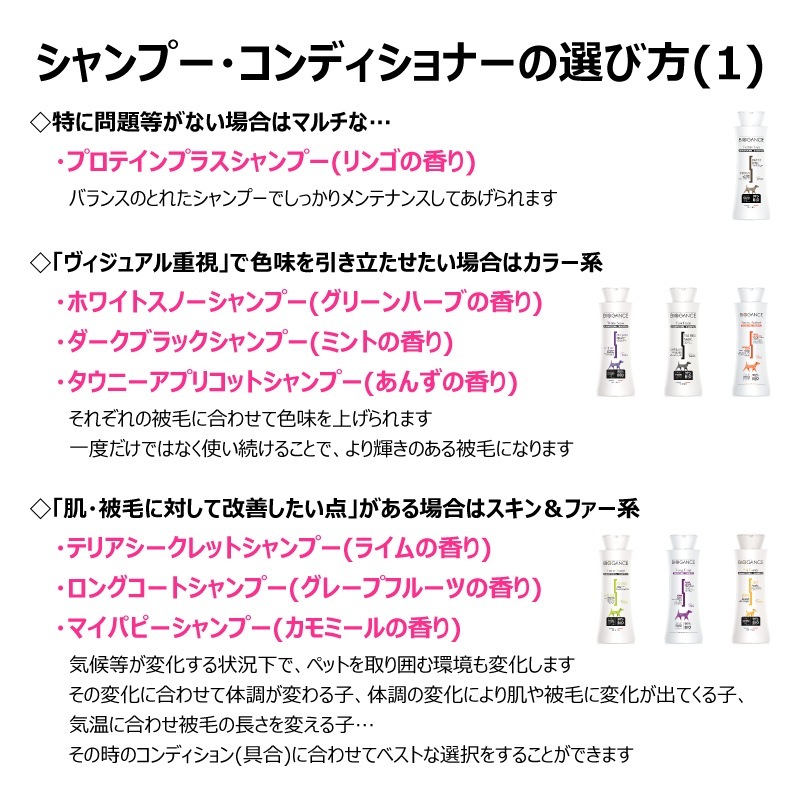 BIOGANCE Х 2in1ǥ˥󥰥ס250ml  ۥ磻ȥեι ڥå ȥߥ ѥ