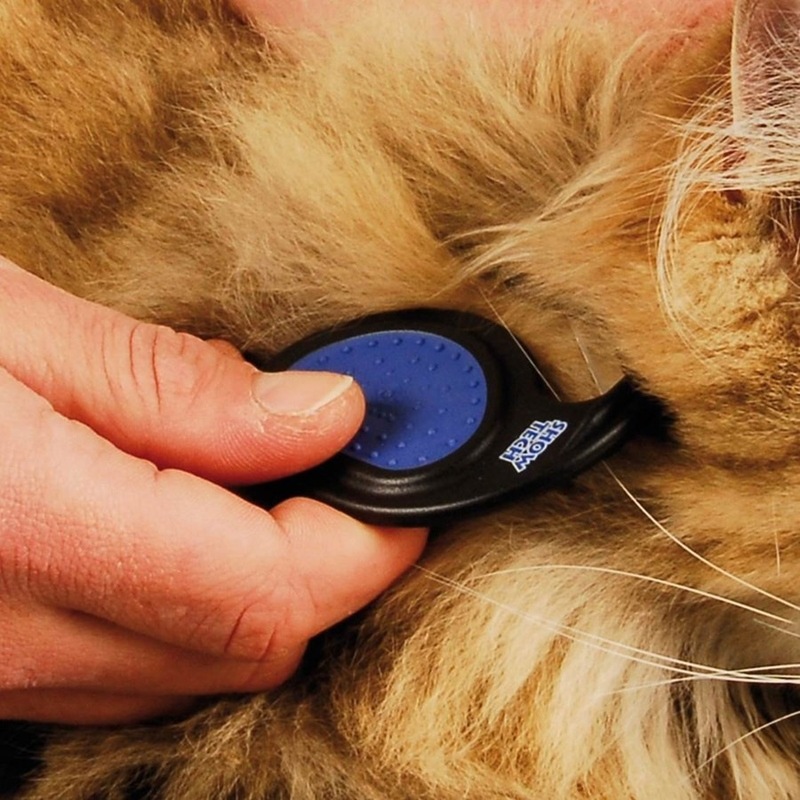 �ڤ椦�ѥ��å�360�ߡۥ��硼�ƥå� �ޥåȥ��ץ�å��� �����ޥ��å��� #50 �Ӷ� �ڥå��� ���� �ȥ�ߥ����� ���롼�ߥ� SHOW TECH