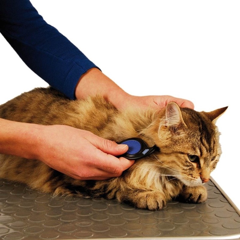 �ڤ椦�ѥ��å�360�ߡۥ��硼�ƥå� �ޥåȥ��ץ�å��� �����ޥ��å��� #50 �Ӷ� �ڥå��� ���� �ȥ�ߥ����� ���롼�ߥ� SHOW TECH