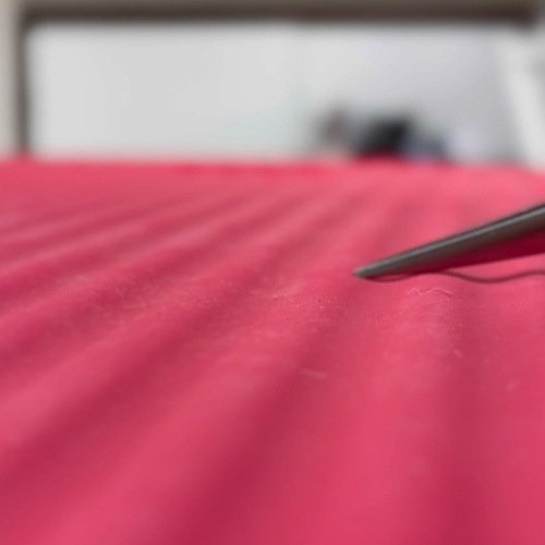 ������̵���ۥ��顼���ꥳ��ޥå� �ݷ� �ɥ꡼�໺�� �ơ��֥��� �ȥ�ߥ����� ���롼�ߥ�