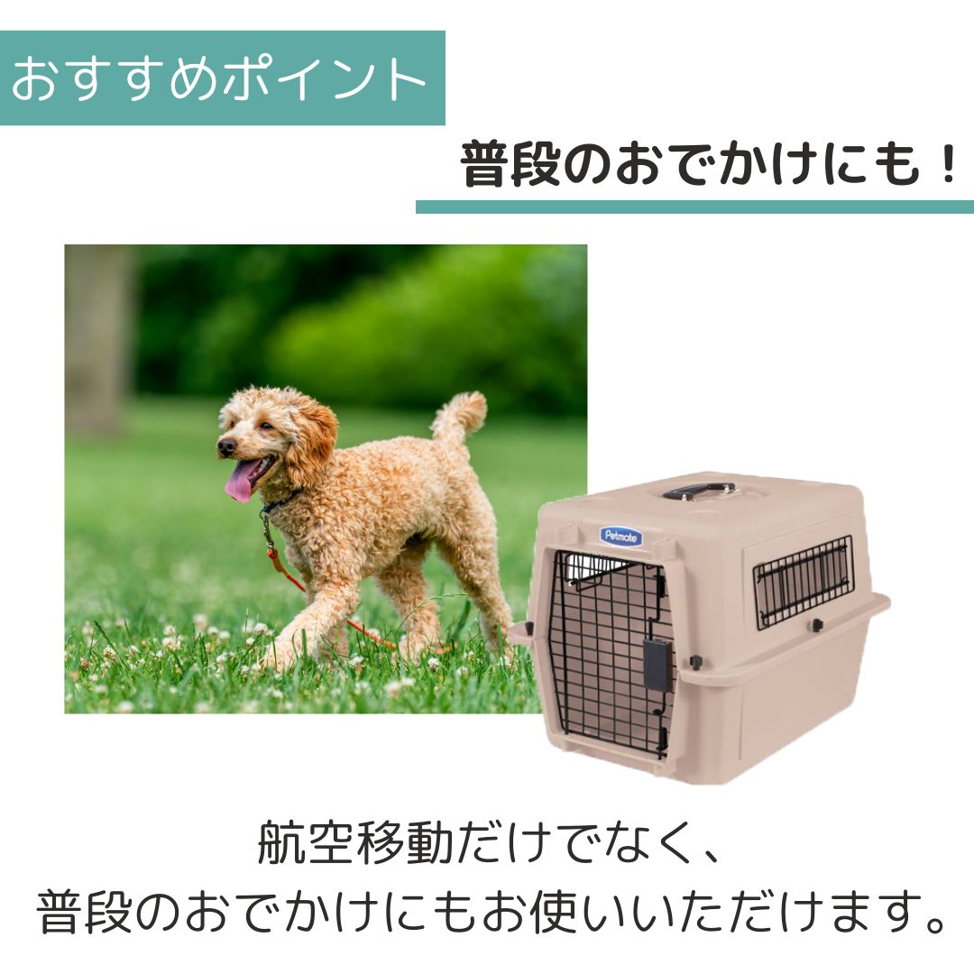 ��3��ܰʹ�����ͽ�������̵�� �ڥåȥᥤ�� ����ȥ�Хꥱ��ͥ� S �ȡ��� �ڥå��� ����  �Хꥱ�� Petmate