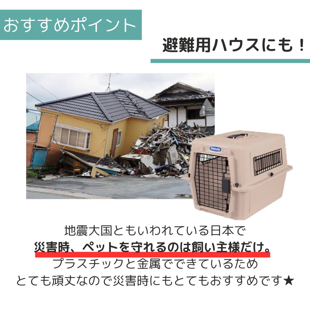 ��3��ܰʹ�����ͽ�������̵�� �ڥåȥᥤ�� ����ȥ�Хꥱ��ͥ� S �ȡ��� �ڥå��� ����  �Хꥱ�� Petmate