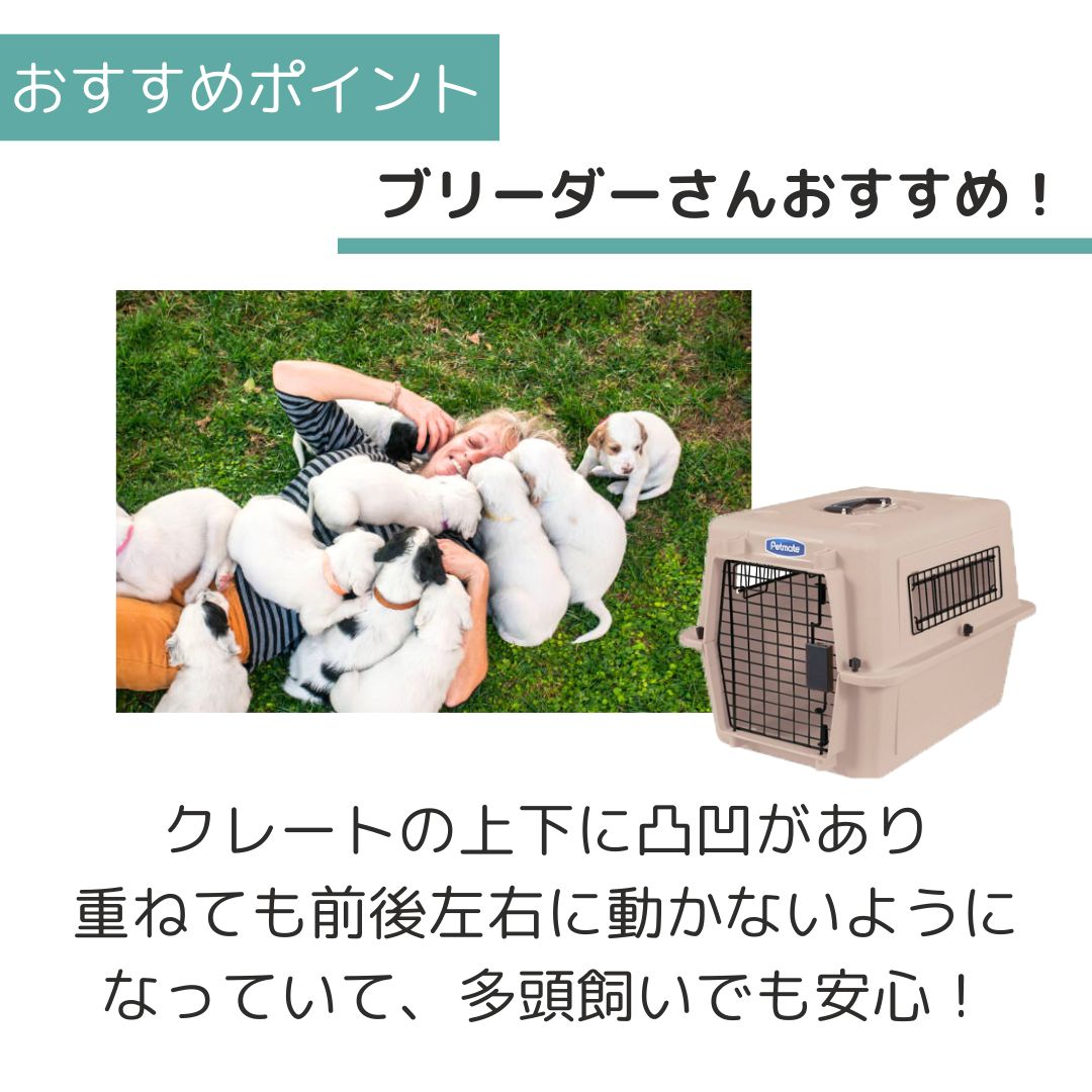 ��3��ܰʹ�����ͽ�������̵�� �ڥåȥᥤ�� ����ȥ�Хꥱ��ͥ� S �ȡ��� �ڥå��� ����  �Хꥱ�� Petmate