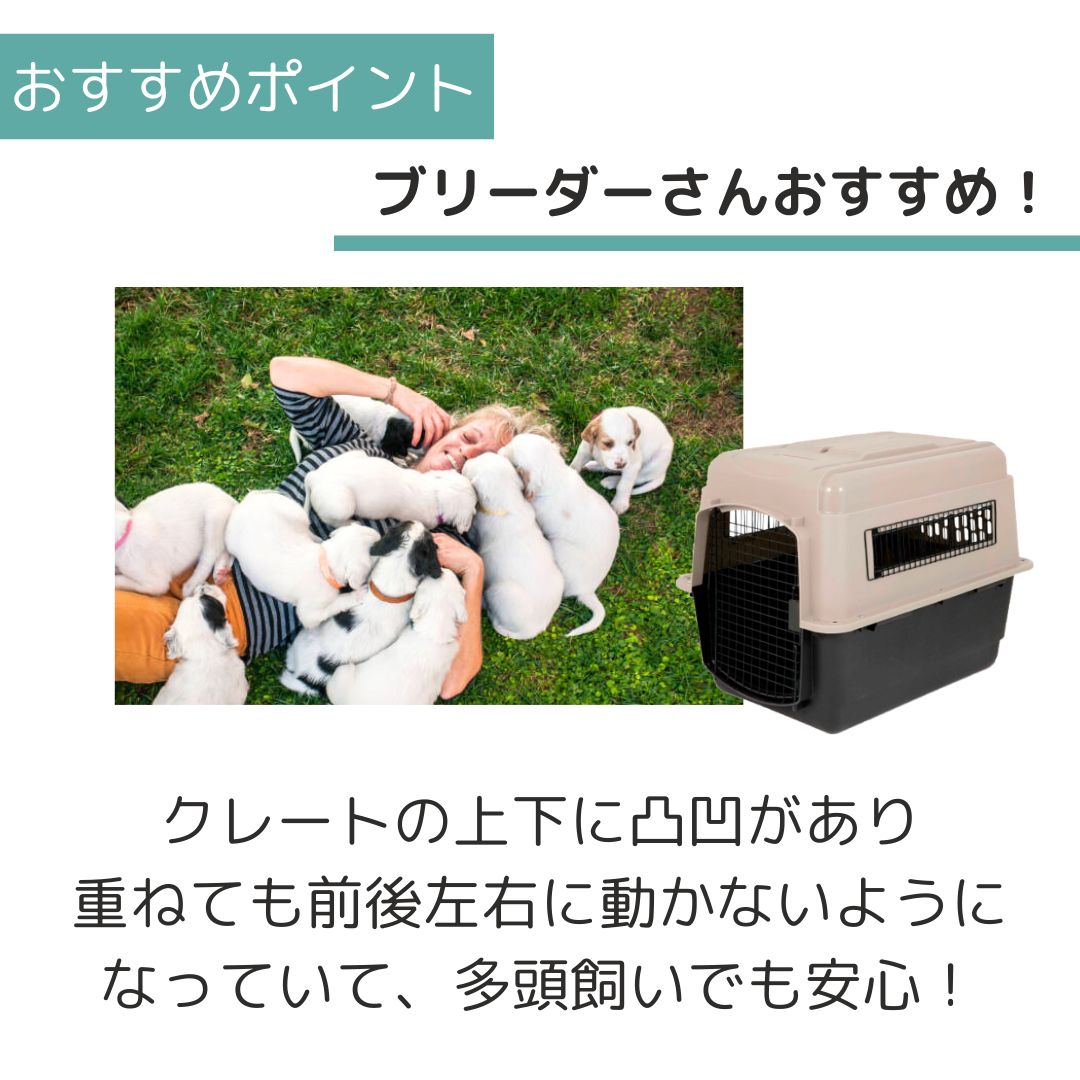 ��3��ܰʹ�����ͽ�������̵�� �ڥåȥᥤ�� ����ȥ�Хꥱ��ͥ� M �ڥå��� ����  �Хꥱ�� Petmate